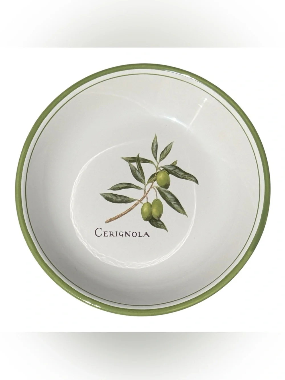 Williams Sonoma Olive Grove Cerignola Pasta Bowl Portugal Green Olive Dish 9.5”